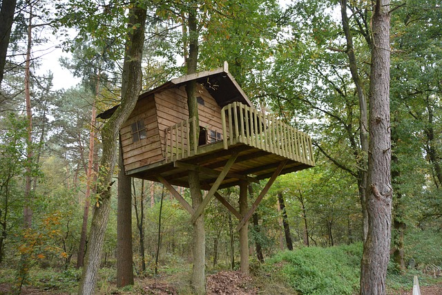 Cabane dans les arbres